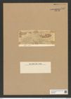 Entogonia davyana f. biangulata P. Bergon. (de-Toni-Nr.: Genus 141, Species 4072) Zeichnungen Sammlung Grunow Nr. 7612 (NHMW-BOT-W0376784)